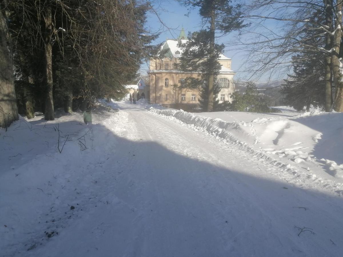 Hotel Vetrov Vysoké nad Jizerou Esterno foto